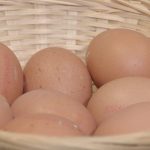 Rosquillas Bletisa Ledesma (3) Rosquillas Bletisa Ledesma (3)